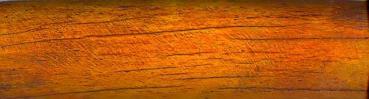 Kamelknochen Amber