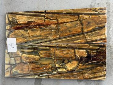 Stabilisiertes Mammutelfenbein - 4