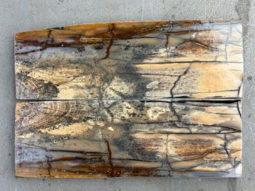 Stabilisiertes Mammutelfenbein - 8