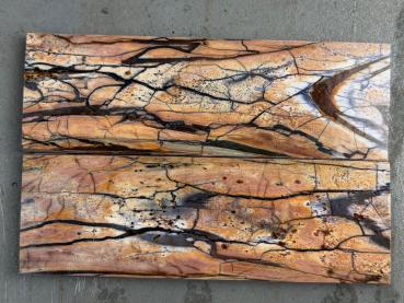 Stabilisiertes Mammutelfenbein - 10