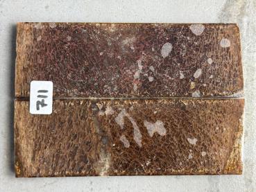 Stabilisierter Dinoknochen - 5