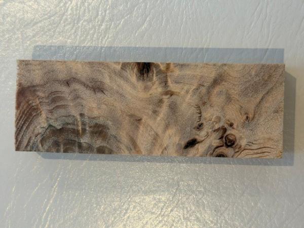 Stabilisierte Pappel