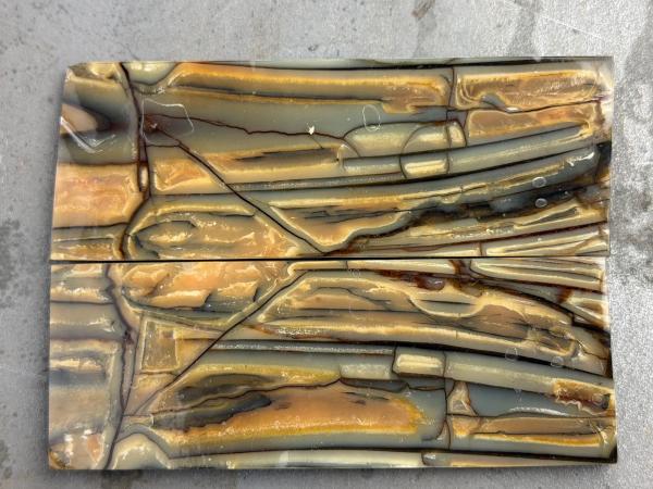 Stabilisiertes Mammutelfenbein - 6