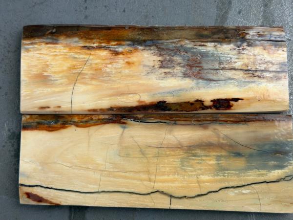 Stabilisiertes Mammutelfenbein - 5