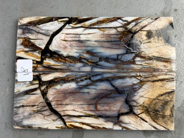 Stabilisiertes Mammutelfenbein - 3