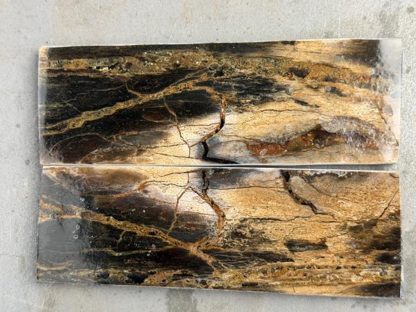 Stabilisiertes Mammutelfenbein - 1