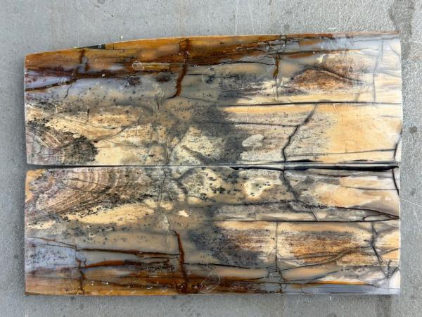 Stabilisiertes Mammutelfenbein - 8