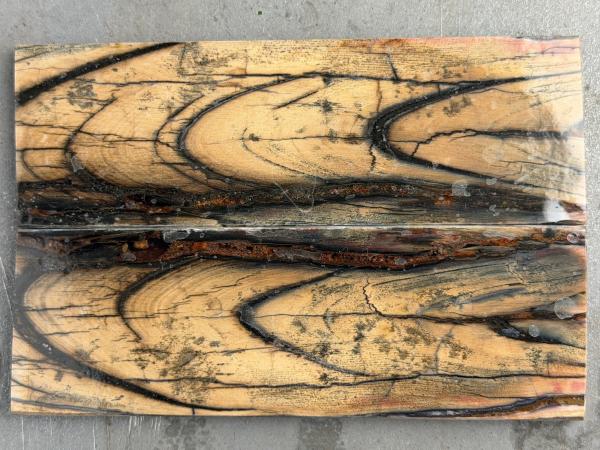 Stabilisiertes Mammutelfenbein - 11