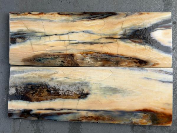 Stabilisiertes Mammutelfenbein - 9