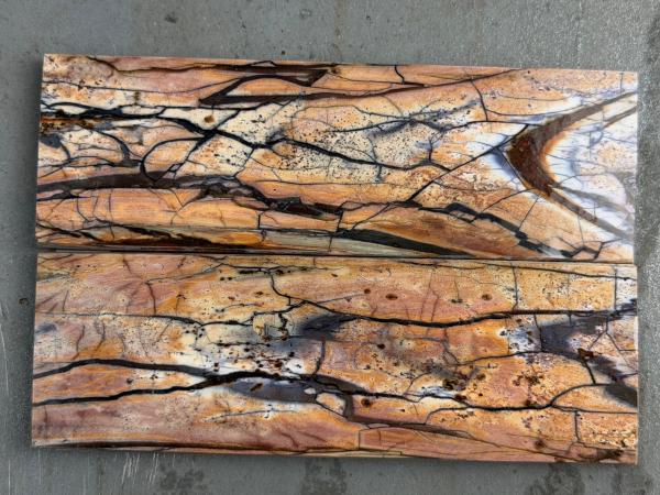 Stabilisiertes Mammutelfenbein - 10